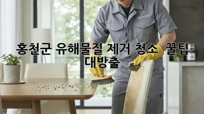 홍천군 유해물질 제거 청소 ✨ 꿀팁 대방출! 🏡